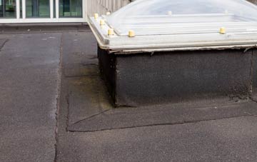 disadvantages of Cobhall Common flat roofs