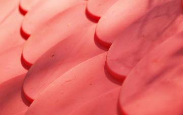 Cobhall Common plastic roof costs