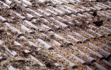 Cobhall Common roof cleaning companies