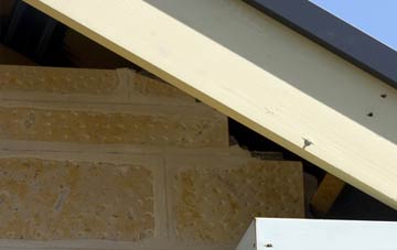 soffit repair Cobhall Common