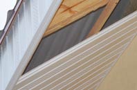 rated Cobhall Common soffit repair companies